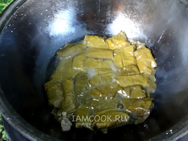 Шаг 14: иллюстрация