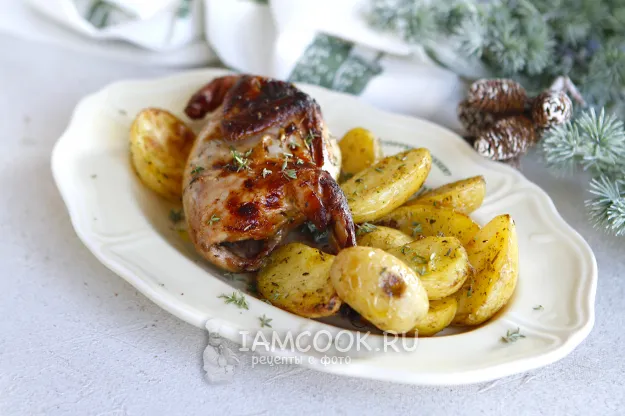 Шаг 7: иллюстрация