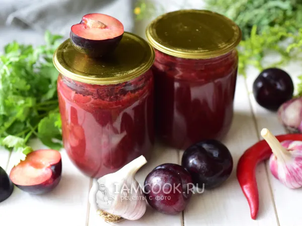 Фото блюда: Ткемали из сливы (классический рецепт)