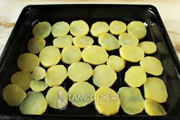 Шаг 6: иллюстрация