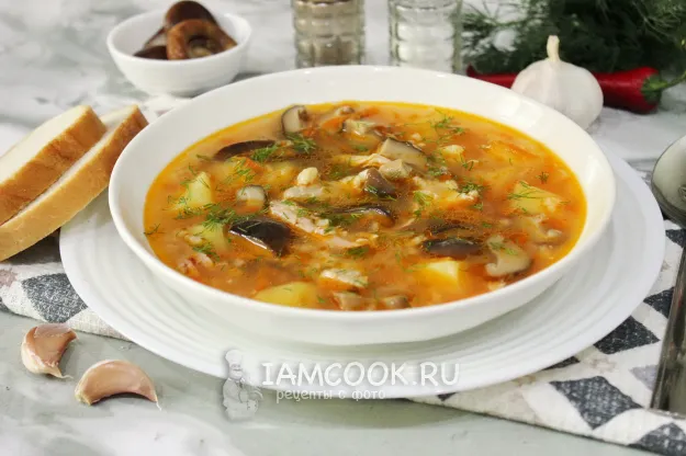 Шаг 17: иллюстрация