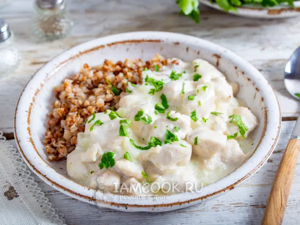 Фото готового блюда: Подлива из курицы с молоком