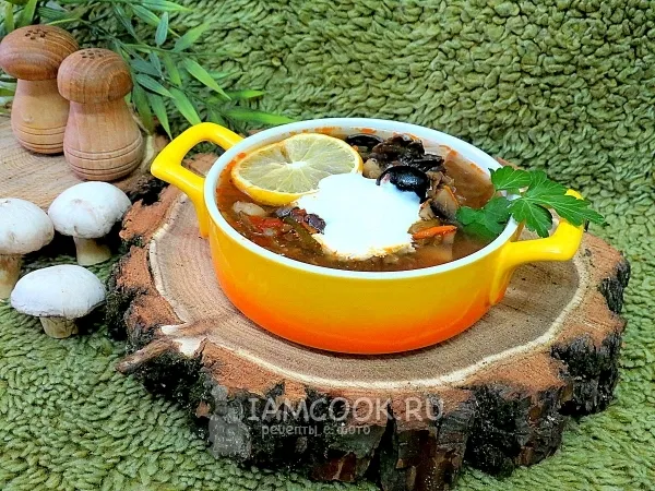 Фото готового блюда: Солянка грибная с огурцами