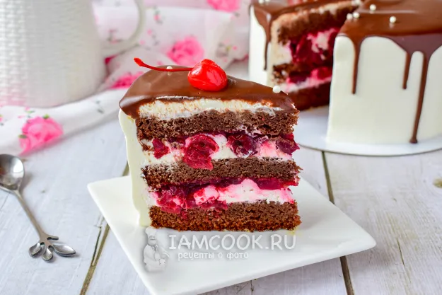 Шаг 16: иллюстрация