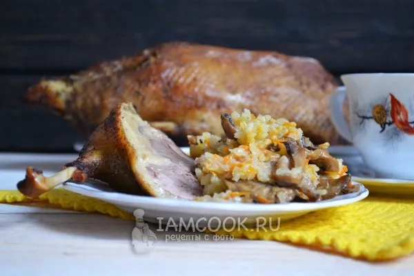 Шаг 15: иллюстрация