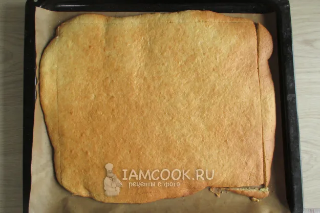 Шаг 15: иллюстрация