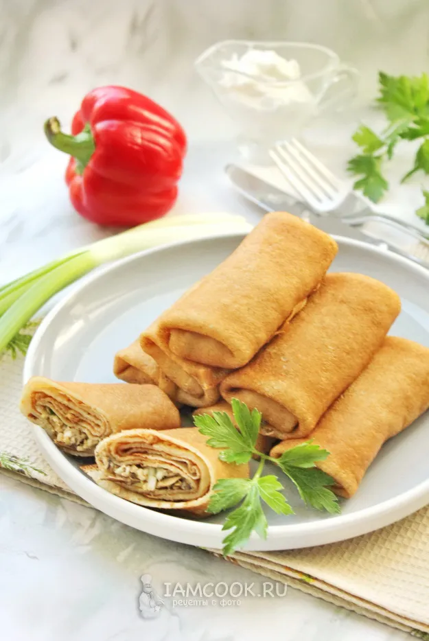 Шаг 17: иллюстрация