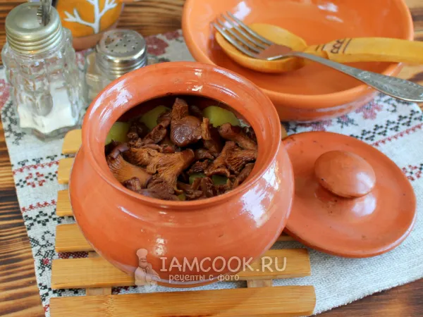 Фото блюда: Картошка с мясом и лисичками в горшочках