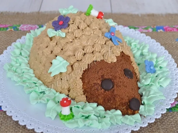 Шаг 21: иллюстрация