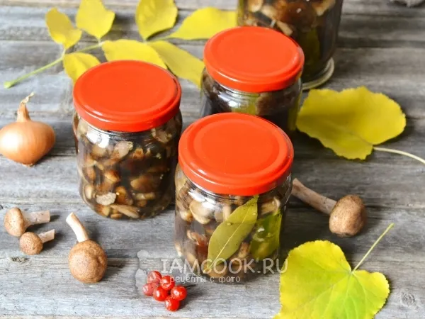 Фото блюда: Маринованные опята в банках на зиму