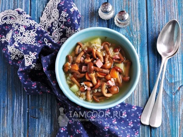 Фото блюда: Суп грибной из замороженных опят