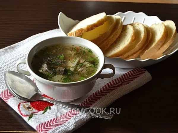 Фото блюда: Суп грибной из свежих подберезовиков