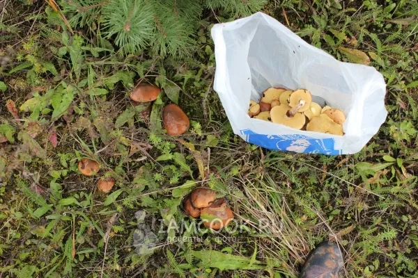 Шаг 3: иллюстрация