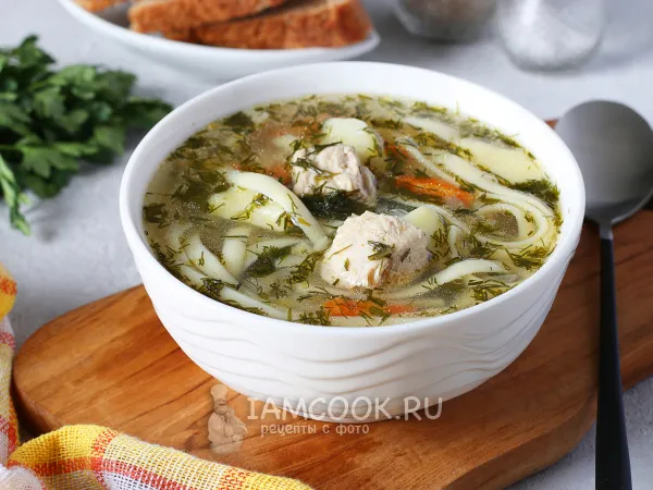 Фото готового блюда: Суп из индейки с лапшой