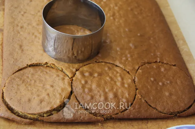 Шаг 12: иллюстрация