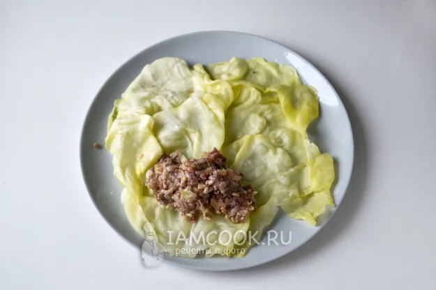 Шаг 7: иллюстрация