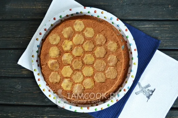 Шаг 17: иллюстрация