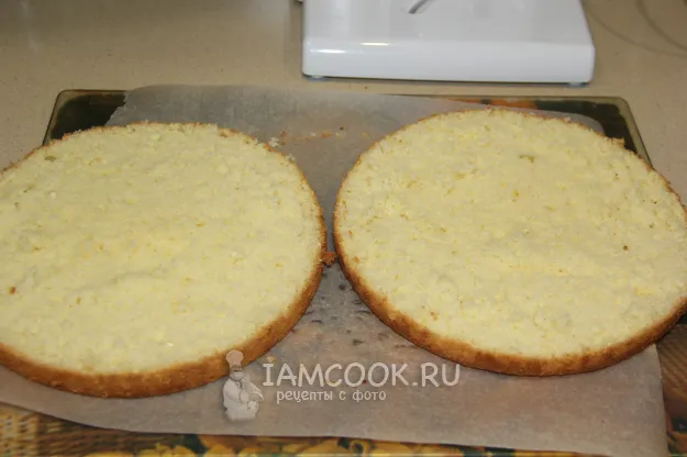 Шаг 15: иллюстрация