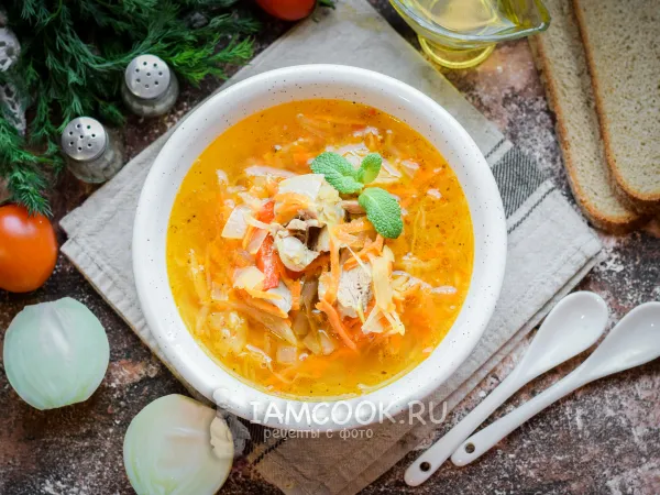 Фото блюда: Щи из квашеной капусты без картошки