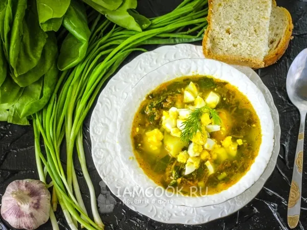 Фото блюда: Щавелевый суп в мультиварке