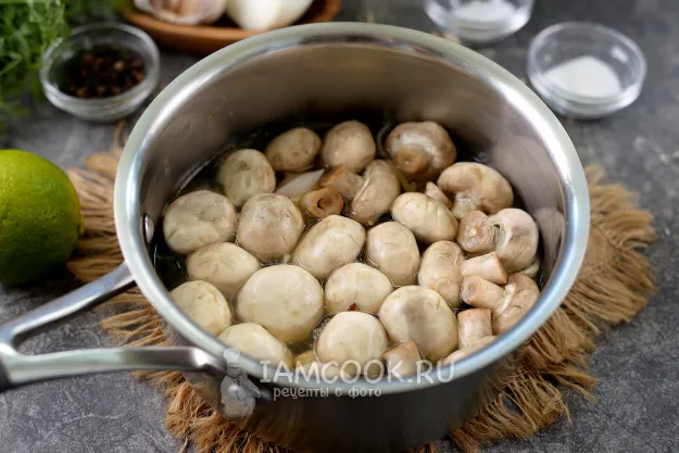 Шаг 4: иллюстрация