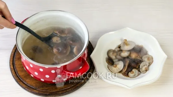 Шаг 5: иллюстрация