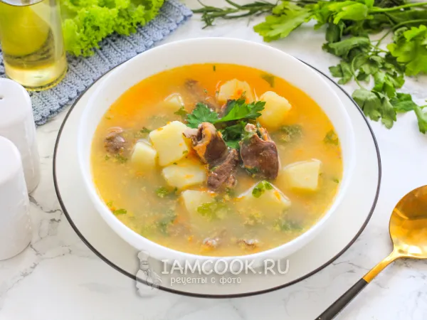 Фото блюда: Суп с сердечками индейки