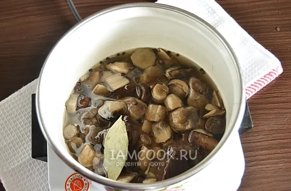 Шаг 10: иллюстрация