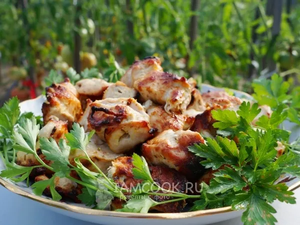 Фото готового блюда: Шашлык из куриной грудки