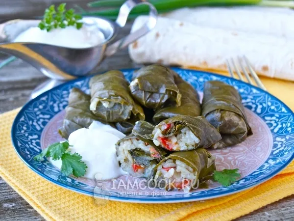 Фото готового блюда: Яланчи-долма