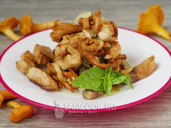 Фото готового блюда: Свинина с лисичками