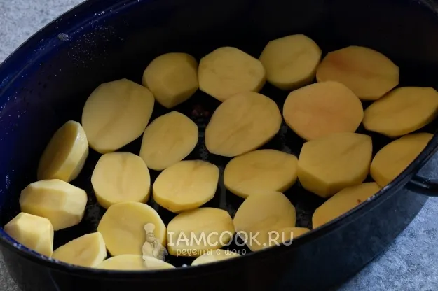 Шаг 4: иллюстрация