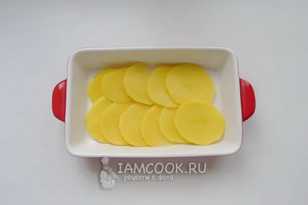 Шаг 5: иллюстрация