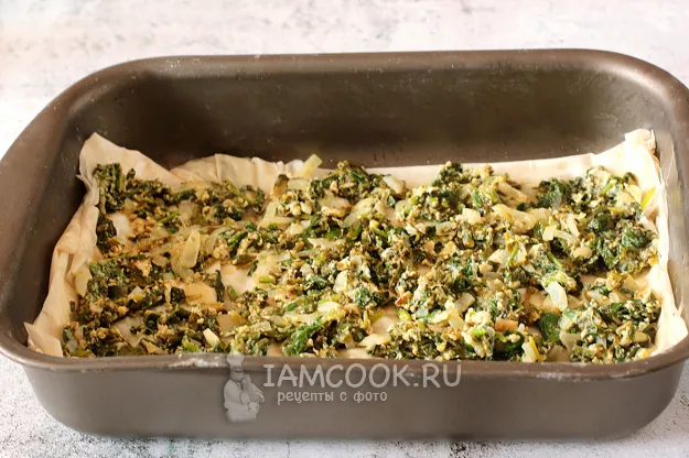 Шаг 10: иллюстрация