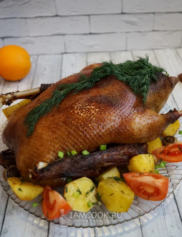 Шаг 13: иллюстрация