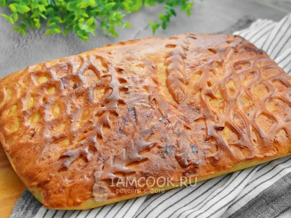 Фото блюда: Пирог с рисом и фаршем