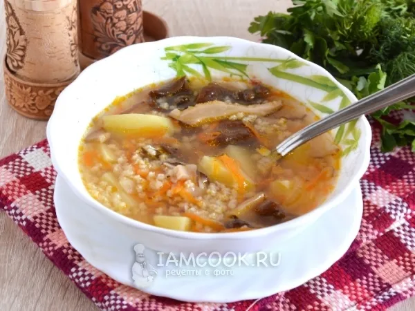 Фото готового блюда: Кулеш из пшена с сушеными грибами
