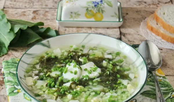 Фото блюда: Холодный щавелевый суп с мясом