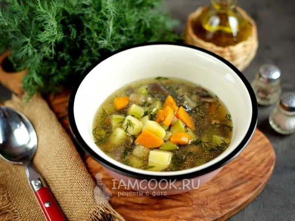 Фото готового блюда: Суп с баклажанами и кабачками