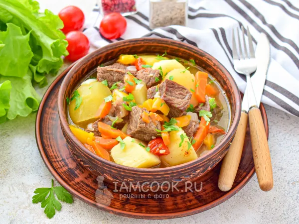 Фото блюда: Шурпа из косули