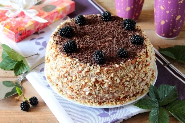 Шаг 11: иллюстрация