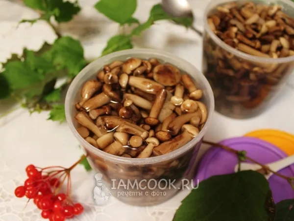 Фото блюда: Опята в сладком маринаде