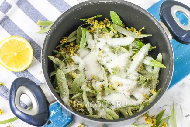 Шаг 4: иллюстрация