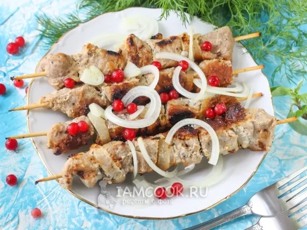 Фото блюда: Шашлык из свинины в мультиварке