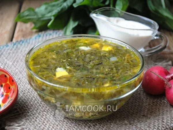 Фото блюда: Щи из щавеля на курином бульоне