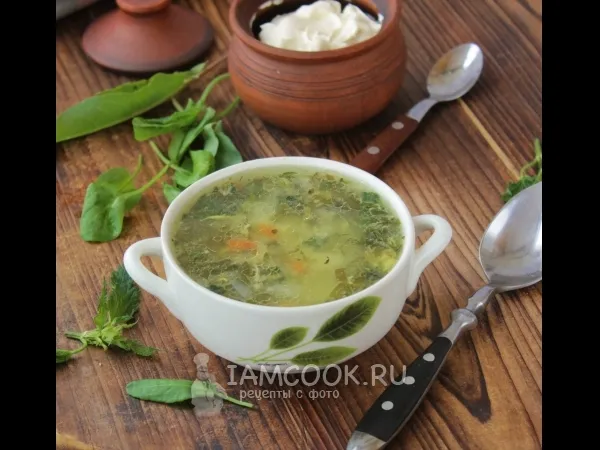 Фото блюда: Зеленые щи с крапивой и щавелем