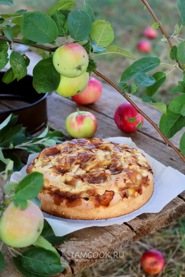 Шаг 10: иллюстрация