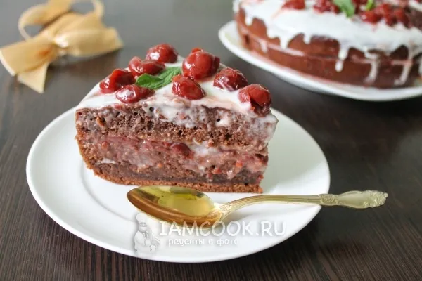 Шаг 15: иллюстрация