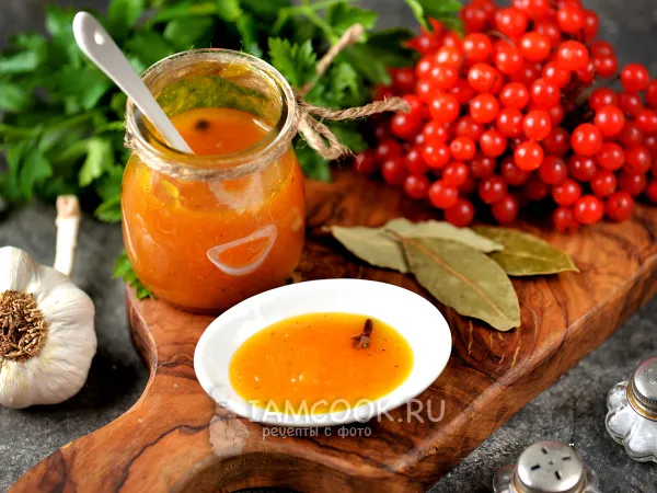 Фото блюда: Соус из калины с апельсином