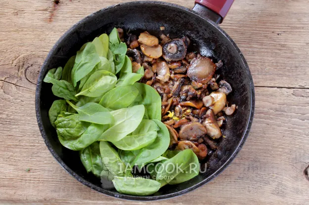 Шаг 10: иллюстрация